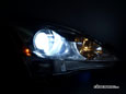 Low-Beam Light - Factory Bulb (HID-spec)