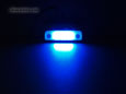 Door Lights - 30 Blue LEDs